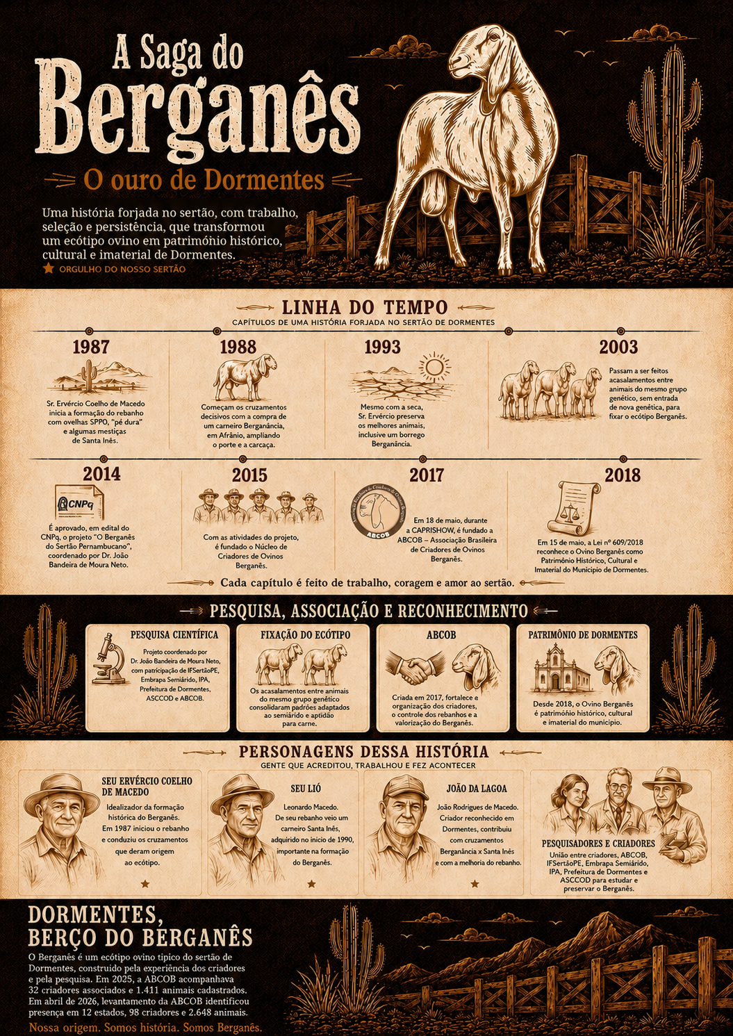 Infográfico A Saga do Berganês